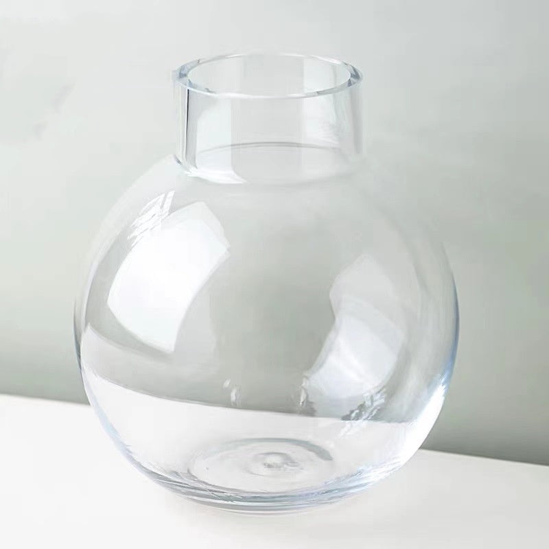 Creative Glass Vase Transparent Hydroponic Flower