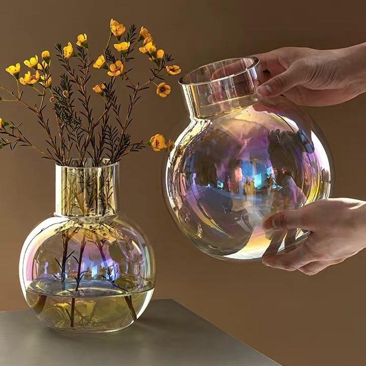 Creative Glass Vase Transparent Hydroponic Flower