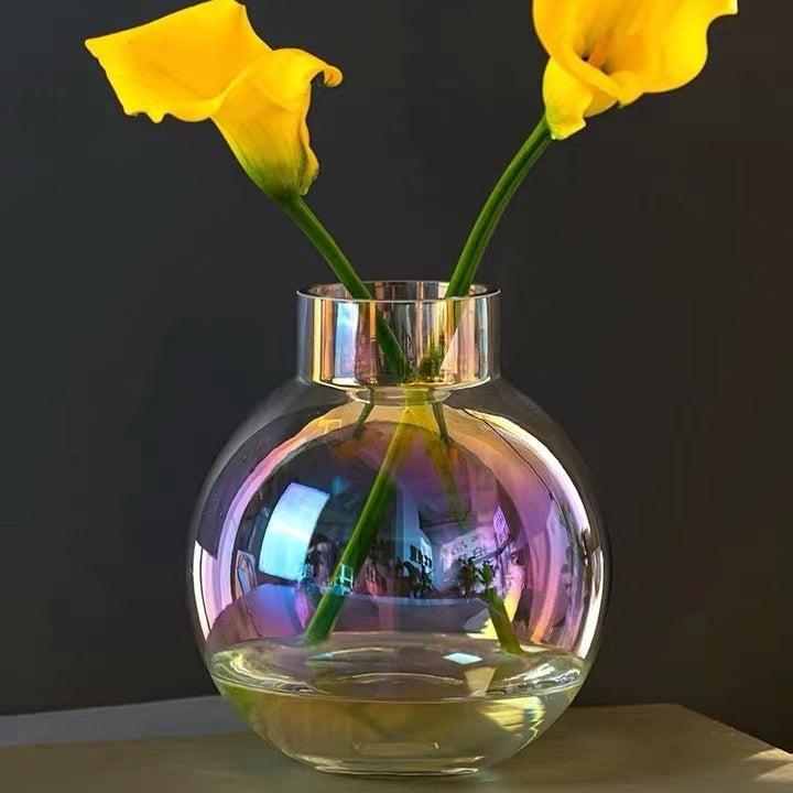 Creative Glass Vase Transparent Hydroponic Flower