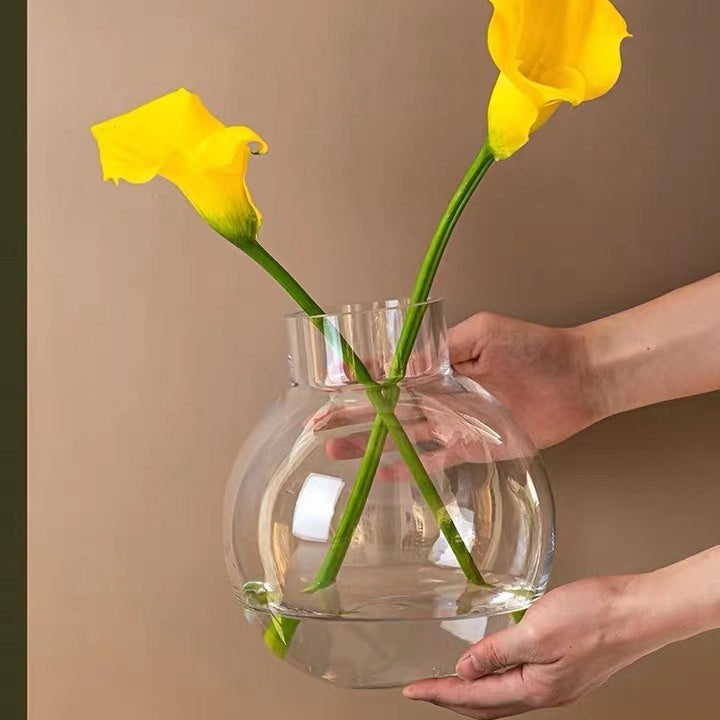 Creative Glass Vase Transparent Hydroponic Flower