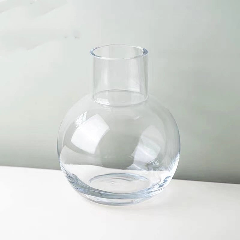 Creative Glass Vase Transparent Hydroponic Flower